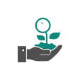 Multi-cap fund growth